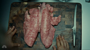 Lungs.png