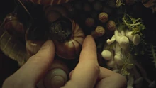 Hannibals Dishes S03E05 01