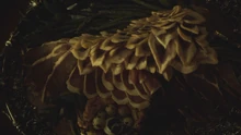 Hannibals Dishes S03E03 01