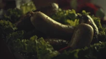 Hannibals Dishes S03E07 02