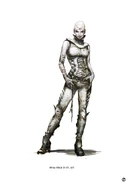 White witch.jpg (221 KB) White Witch.