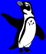 Eddie as a african penguin