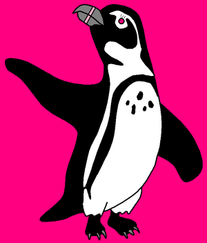 Andrea the African Penguin