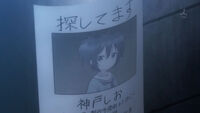 Shio's missing flyer