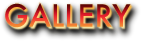 Gallery-header.png