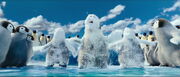 Close up of Bo and the baby penguins covered in snow