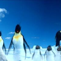 Happy Feet Three Happy Feet Wiki Fandom Un film di george miller (ii). happy feet three happy feet wiki fandom