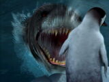 Leopard Seal (character)/Gallery