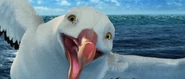Albatross screencap 16.png (1.73 MB)