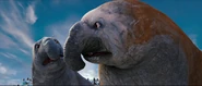Happy-feet2-disneyscreencaps.com-10163.jpg (333 KB)