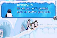 Groupie Penguins