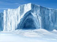 A emperor penguin in Astrakhan's Cave by Michael Halford