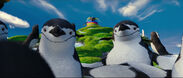 Chinstrap Penguins in Happy Feet Two