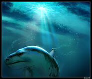 Concept art of a leopard seal looking for Mumble by Anton Vill