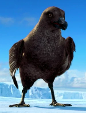 FrankieSkua