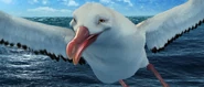 Albatross screencap 14.png (1.98 MB)