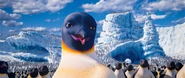 Gloria in Happy Feet Two