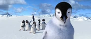 Rinaldo (close left) with the Amigos, sing a sad song after Mumble rejects Gloria's attempt to join them on their dangerous journey in Happy Feet
