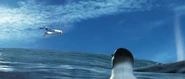 Albatross screencap 1.png (1.37 MB)