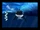 Hqdefault (69).jpg