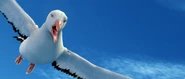 Albatross screencap 9.png (839 KB)