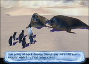 Land of the Elephant Seals - Elephant Seals asking Mumble to bring back some squid
