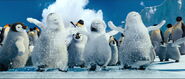 Bo and the baby penguins covered in snow