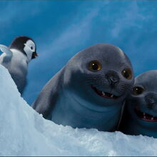 Shane Happy Feet Wiki Fandom No ads, always hd experience with gfycat pro. shane happy feet wiki fandom