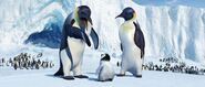 Memphis, tries to explain penguin life to his young son, Mumble, while Mumble’s mother Norma Jean, looks on