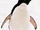 Adélie Penguin