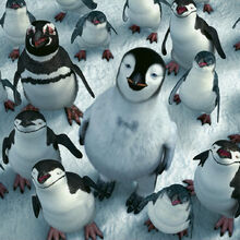 List Of Species Happy Feet Wiki Fandom If you want to know, what are the character's names in happy feet two? then this list will answer your question. list of species happy feet wiki fandom