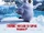 Happy Feet