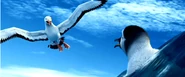 Albatrossdeletedscene.png (117 KB)