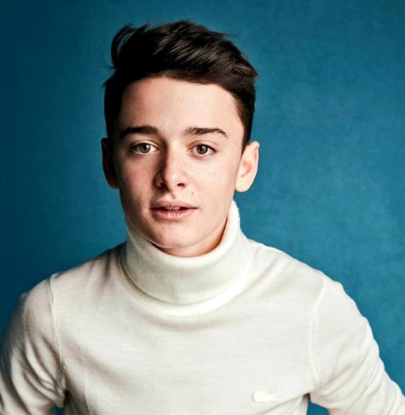 Noah Schnapp, Wiki