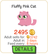 Fluffy Pink Cat