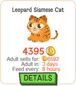 Leopard Siamese Cat New