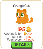 Orange Cat New