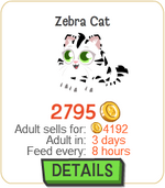 Zebra Cat New