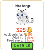 White Bengal New