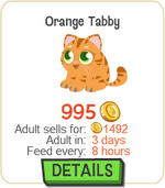 Orange Tabby New