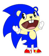 Sonic the hedgehog