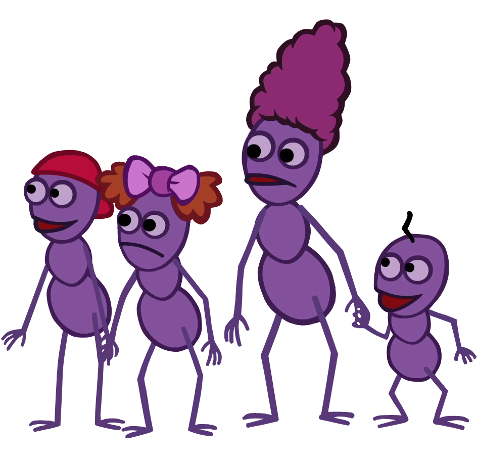 The ants 2024