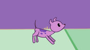 Hairlesslittledog