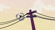 This is why you don't see birds on power lines in this universe.