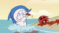 Shark: "Soup's on!" Seagull: "Spoke too soon..." Death:A Seagull