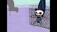 Petunia's skeletal structure excludes her tail.