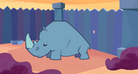 The rhino in the episode.