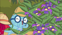 Goof #2: Sniffles is covered in scratches before running into the grove of carnivorous flowers.