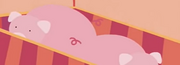 Pigs.png