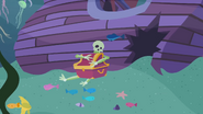 Tiny purple clam.